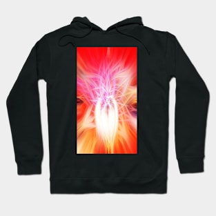 Unique Swirl Design Hoodie